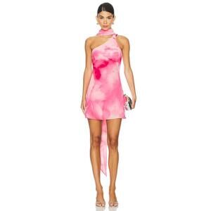 Lovers and Friends Kima Mini Dress in Blur Floral Pink